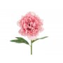 Pionblomma - 35 cm - Rosa