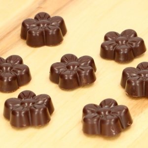 Pralinform -  Blomma - FunCakes