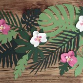Hawaiifest
