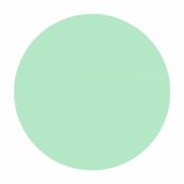 Mint Mint