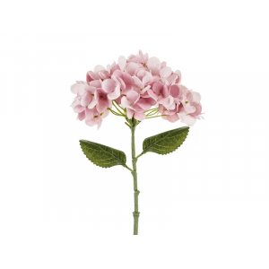 Hortenisa - 35 cm - Rosa Hortenisa - 35 cm - Rosa