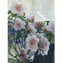 Azalea kkshandduk 50 x 70 cm - Multi
