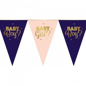 Girlang - Gender Reveal - 6 m