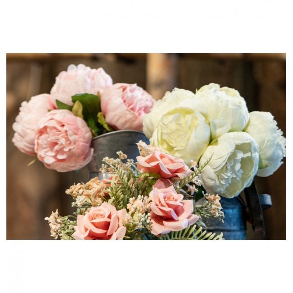 Pioner - 6-pack - Vita Pioner - 6-pack - Vita