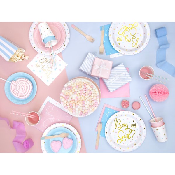 Papptallrikar - Boy or girl? - 6-pack Papptallrikar - Boy or girl? - 6-pack