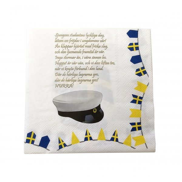 Servetter - Student - 20-pack (33 x 33 cm)