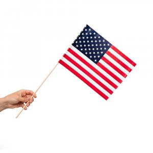 Pappersflaggor USA 20x30 cm 10-pack