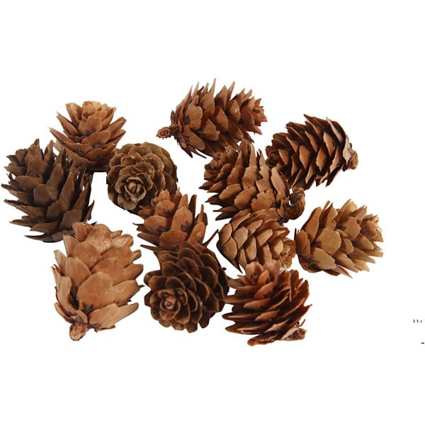 Lärkkottar - 12-pack Lärkkottar - 12-pack