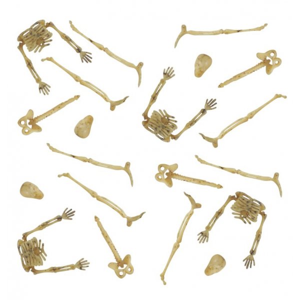 Sm skelettdelar - Halloweendekoration