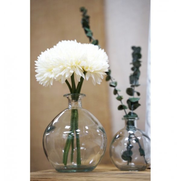 Dahlior - 6-pack - Vita Dahlior - 6-pack - Vita