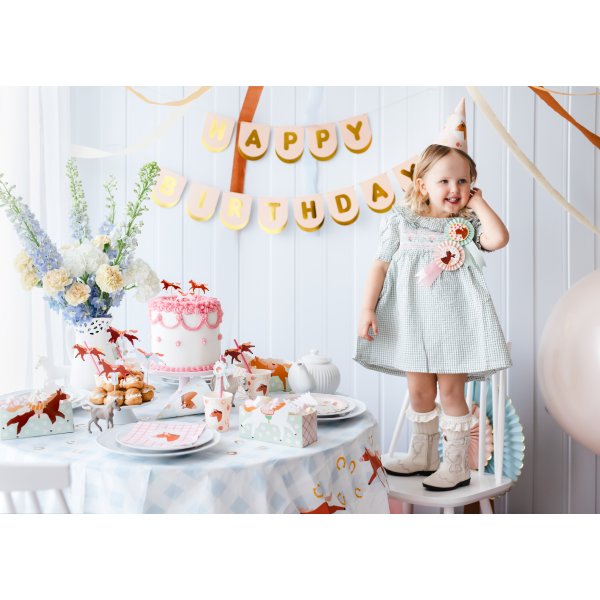 Snackboxar - Hästema - 3 st Snackboxar - Hästema - 3 st