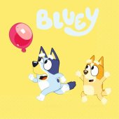 Bluey Bluey