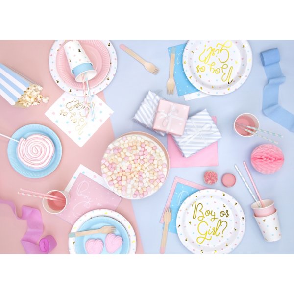 Papptallrikar - Boy or girl? - 6-pack Papptallrikar - Boy or girl? - 6-pack