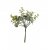Eucalyptuskvist - Liten - 17cm
