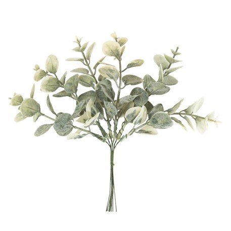 Eucalyptuskvistar 6 st 20 cm Eucalyptuskvistar 6 st 20 cm