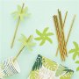 Sugrr - Tropical fiesta - 24-pack