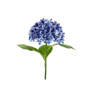 Hortenisa - 69 cm - Premium - Mörkblå Hortenisa - 69 cm - Premium - Mörkblå