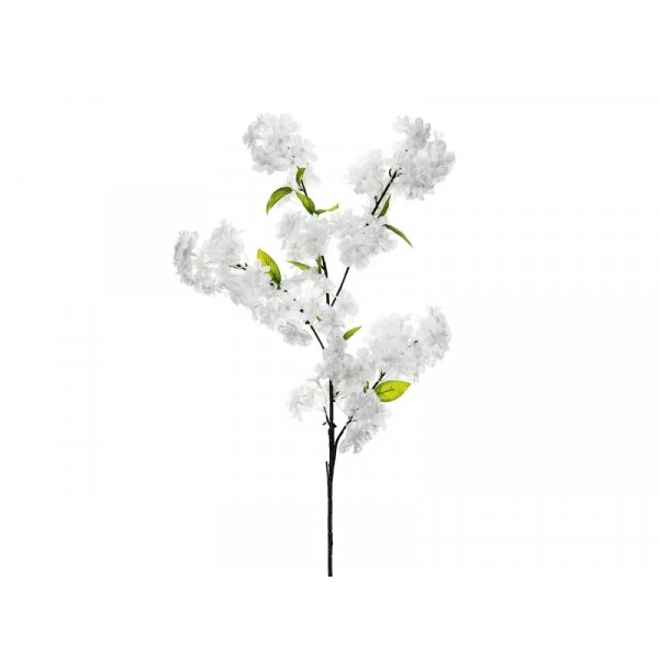 Krsbrsblomma - 97 cm