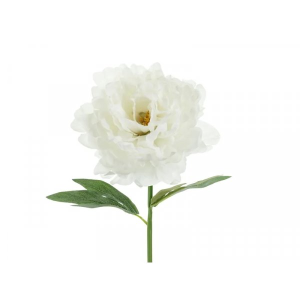 Pionblomma - 35 cm - Vit