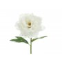 Pionblomma - 35 cm - Vit