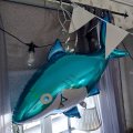 Kundbild Folieballong - Haj/Shark - 102 x 62 cm : V�ldigt fin hajballong!