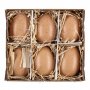 Pskgg - 6-pack - Brun
