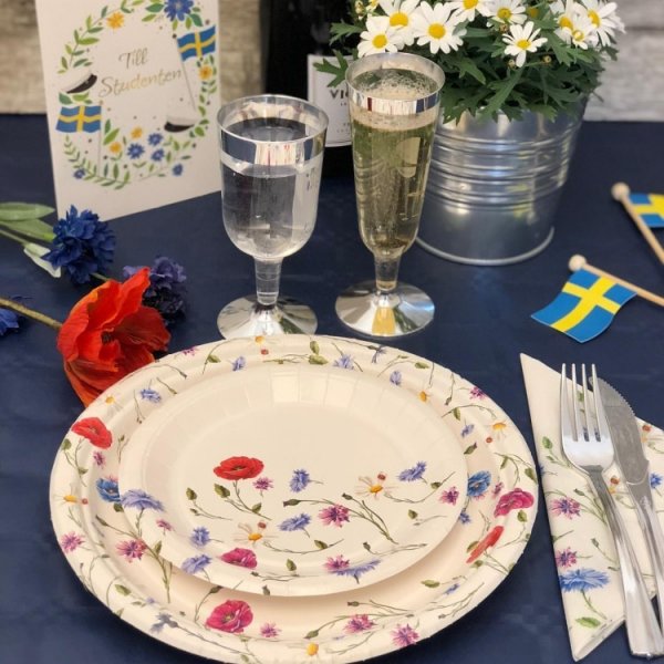 Papperstallrikar Svensk Sommar