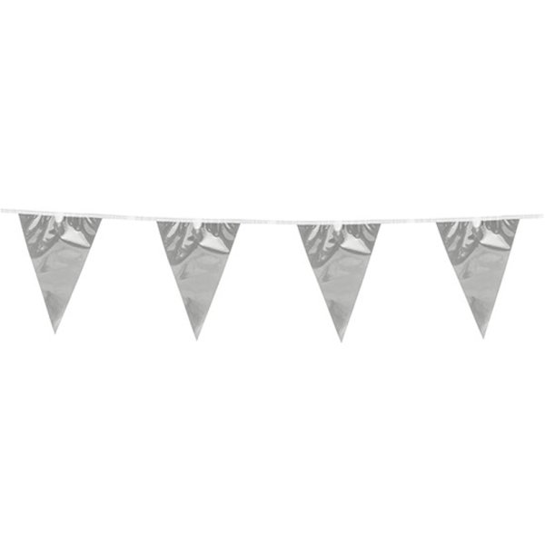 Vimpelgirlang - Silver Metallic -10 meter