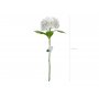 Hortenisa - 69 cm - Premium - Vit