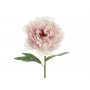 Pionblomma - 35 cm - Ljusrosa