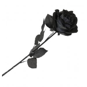 Dekoration - Halloween - Svart Ros - 65 cm Dekoration - Halloween - Svart Ros - 65 cm