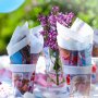 Servetter - Frozen 2 - 20-pack