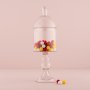 Apothecary Jar - Rak