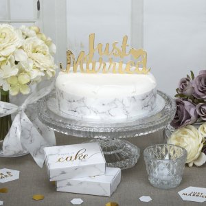 Cake Topper - Just Married - Scripted Marble